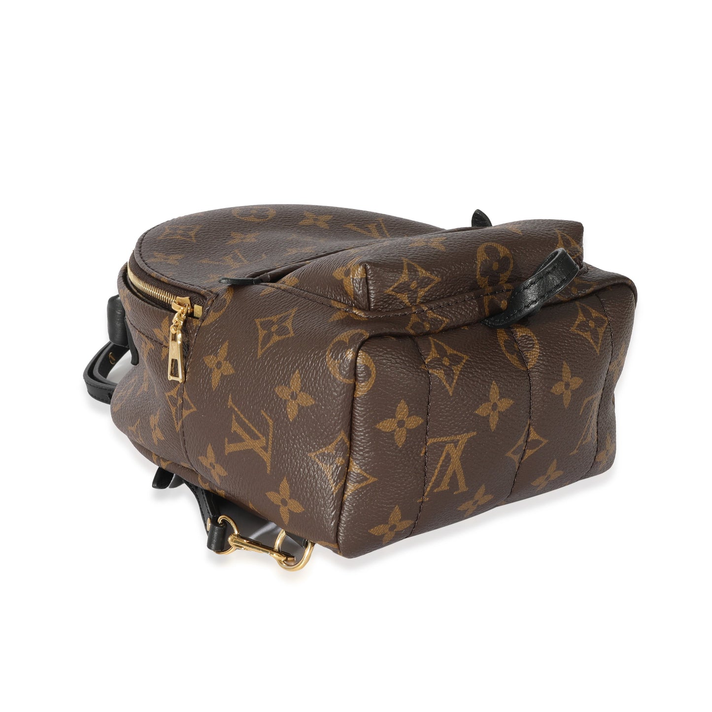 Louis Vuitton Monogram Mini Palm Spring Backpack