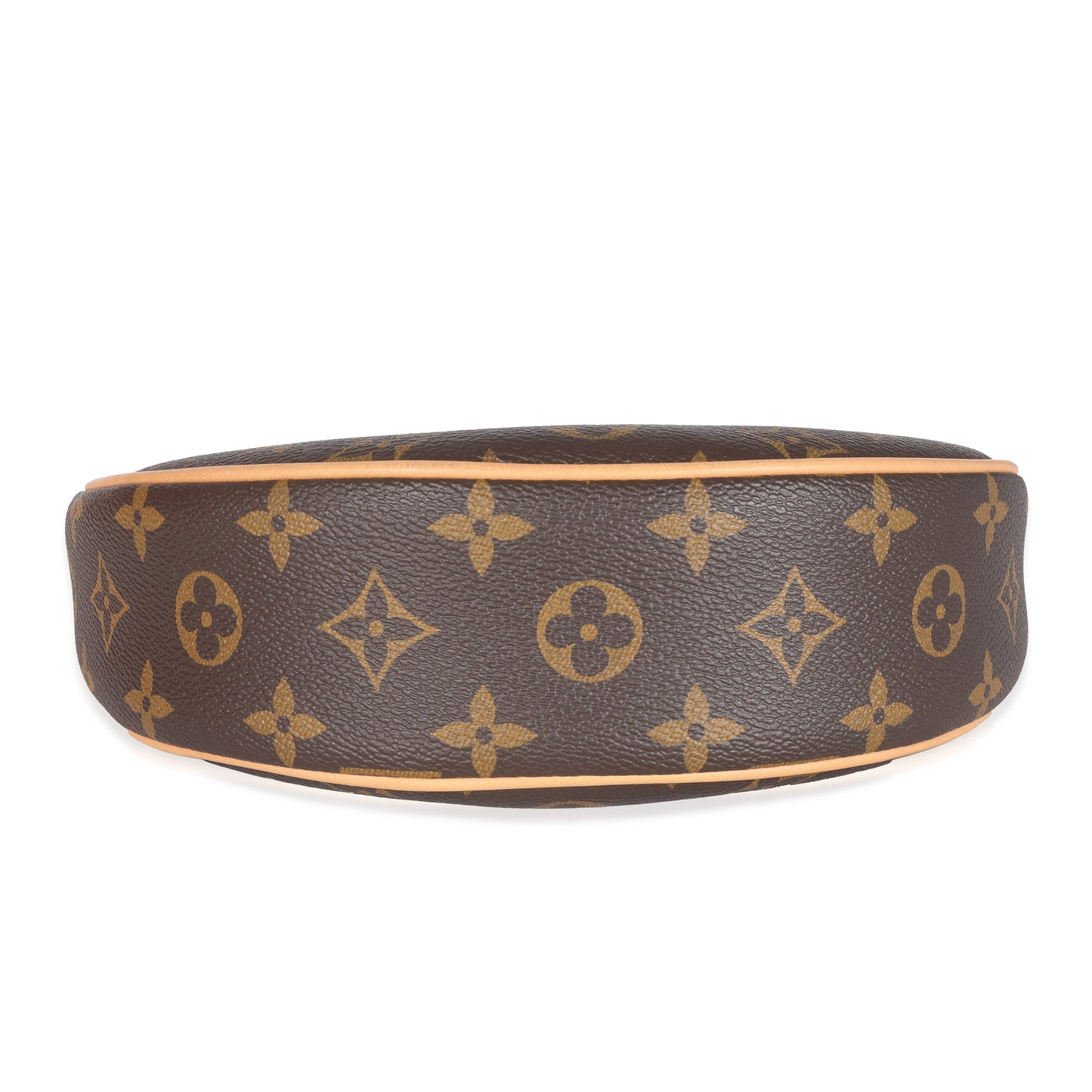 Louis Vuitton Monogram Canvas Loop Bag