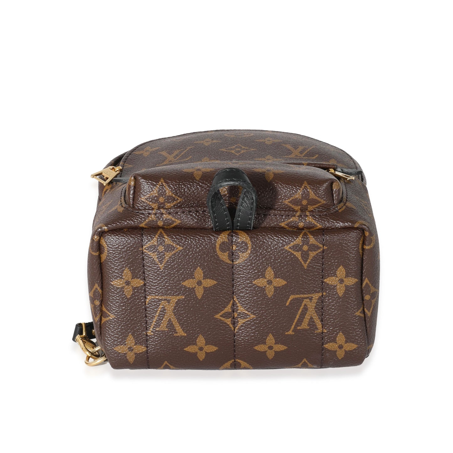 Louis Vuitton Monogram Canvas Palm Springs Mini Backpack