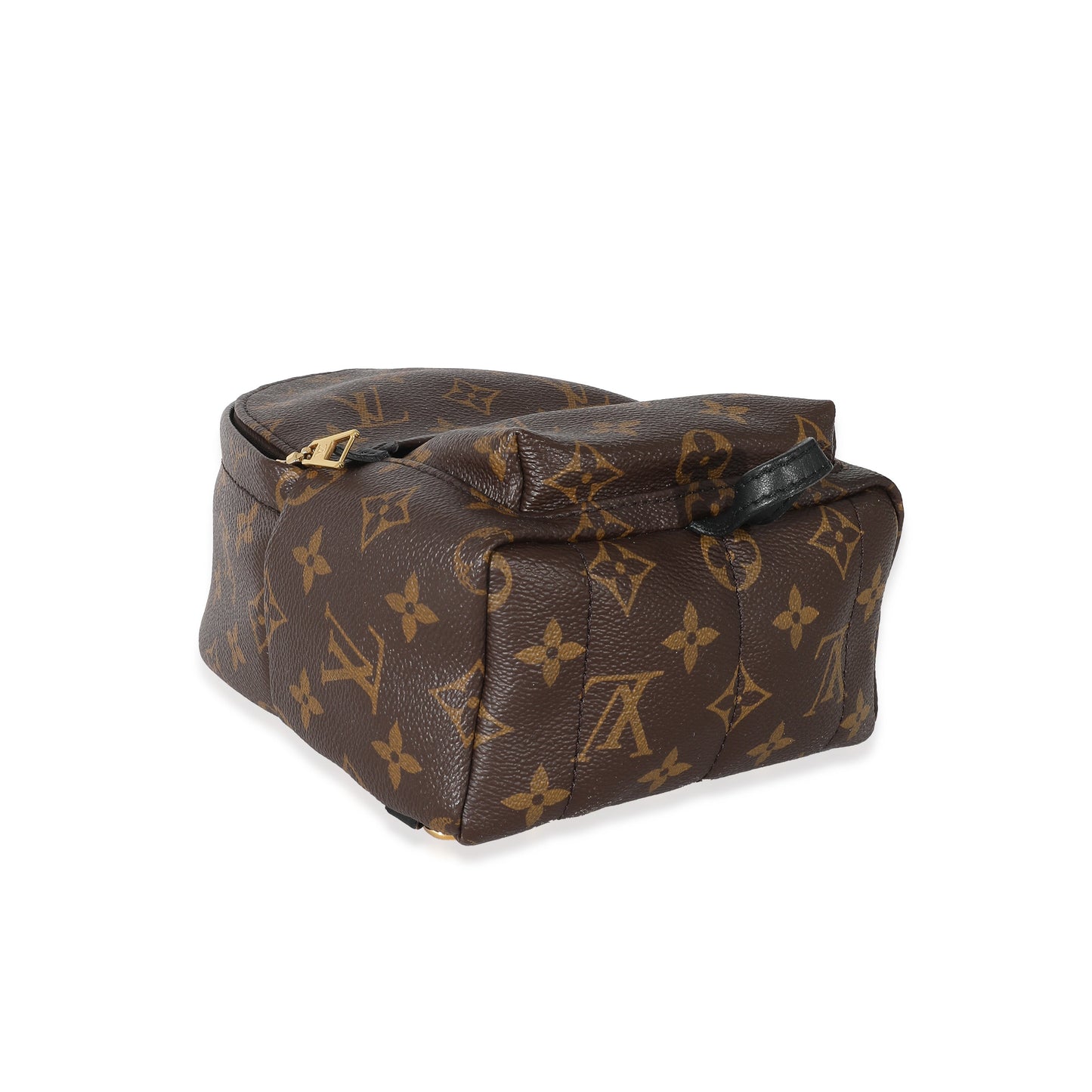 Louis Vuitton Monogram Canvas Mini Palm Springs