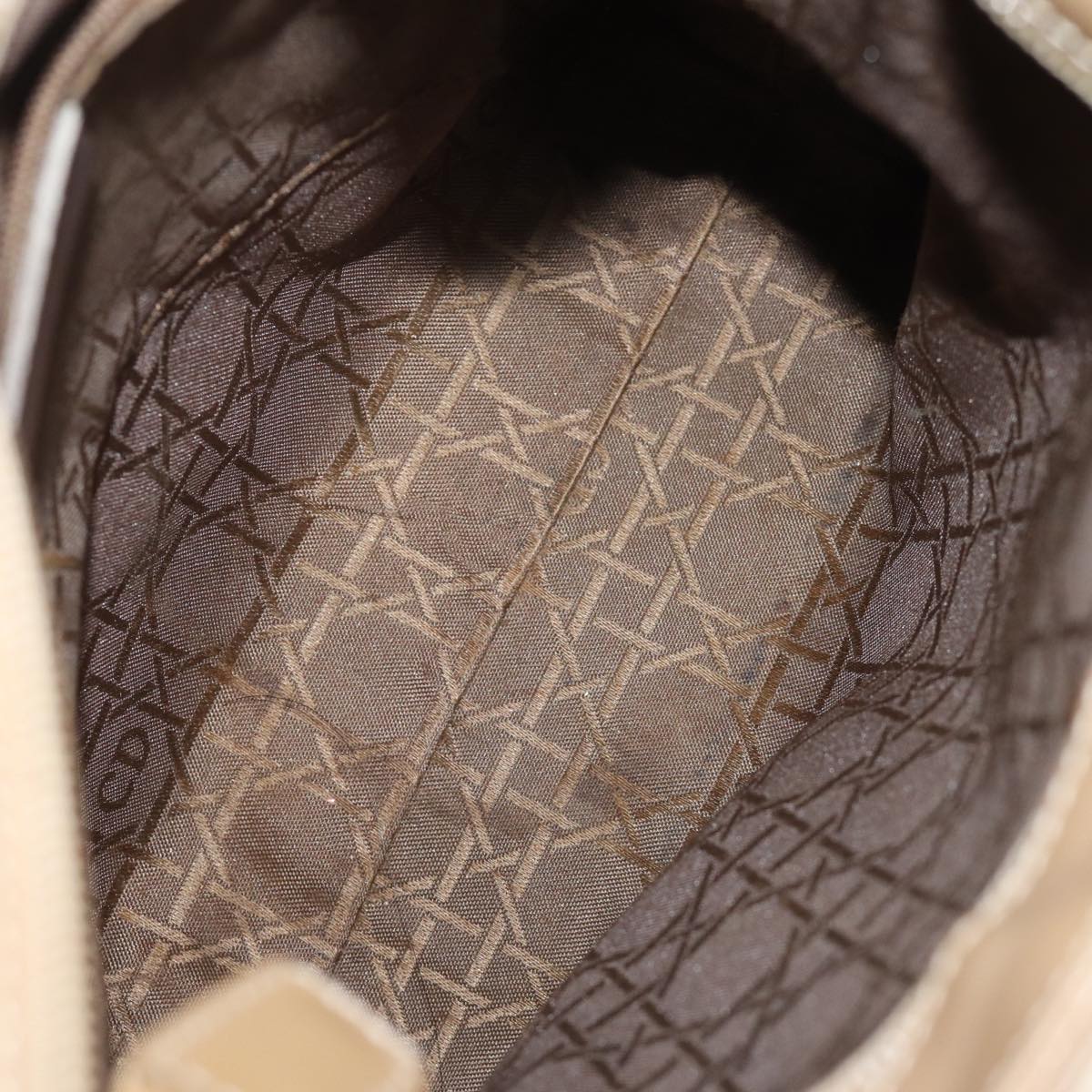 Dior Handbag