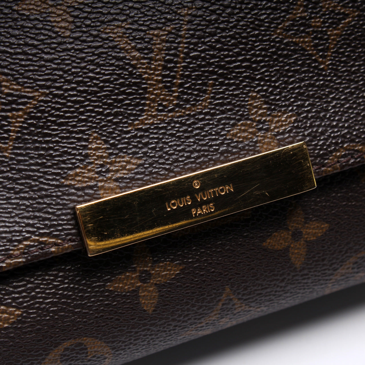 Louis Vuitton Favorite MM Monogram