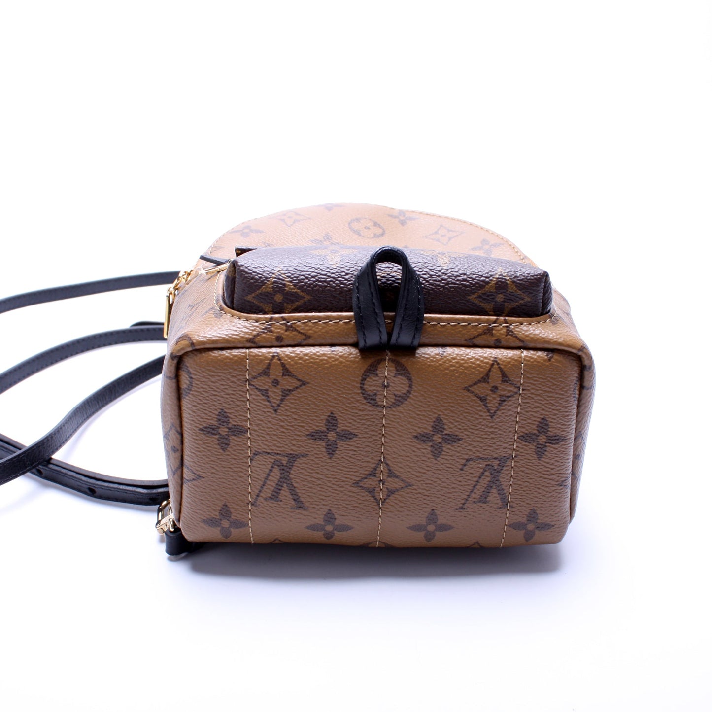 Louis Vuitton Palm Springs Mini Reverse Monogram