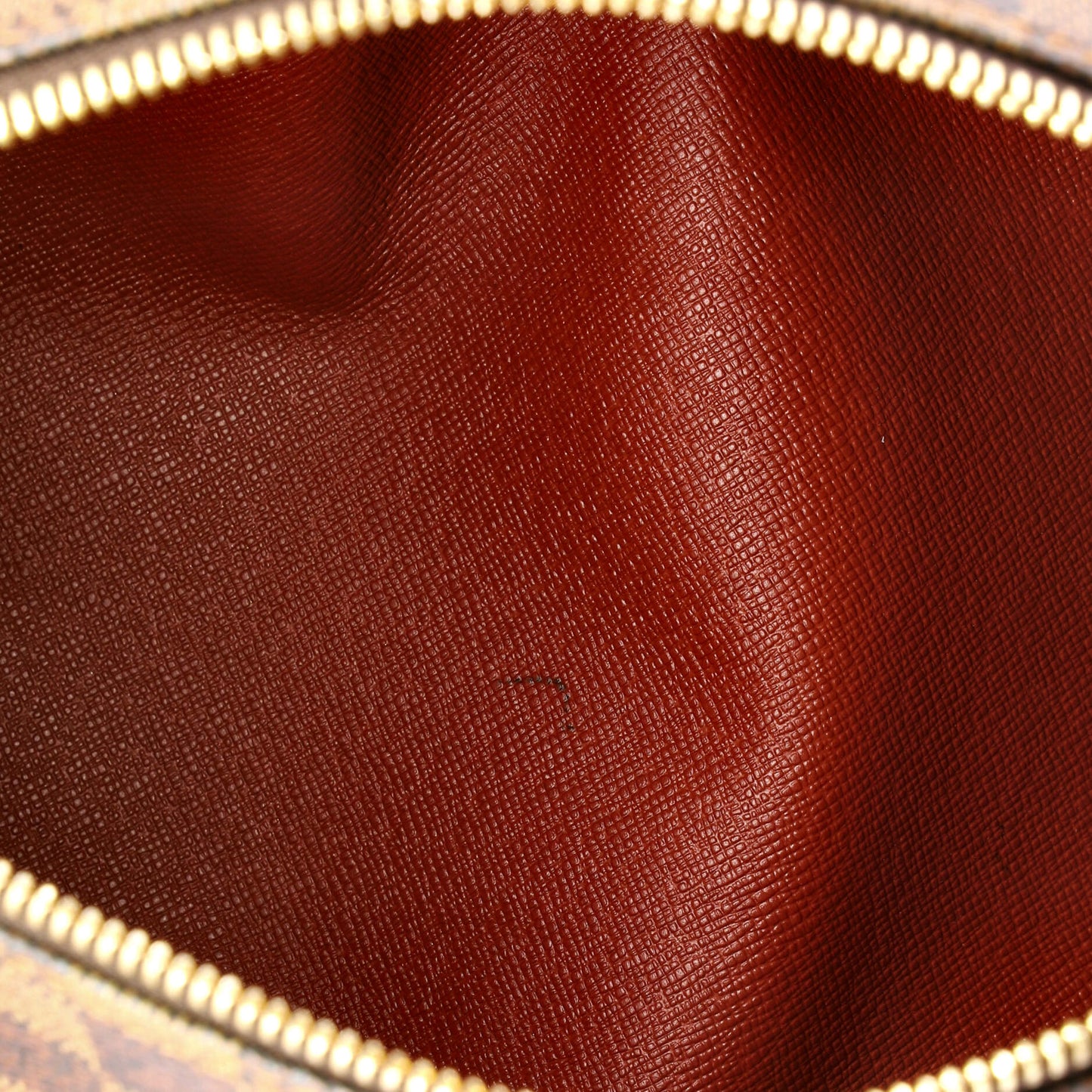 Louis Vuitton Papillon Handbag Damier 30