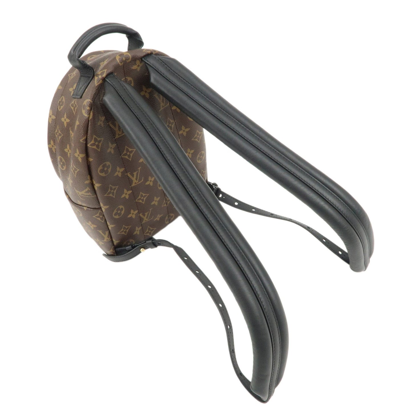 Louis Vuitton Monogram Reverse Palm Springs PM Back Pack M44870 d
