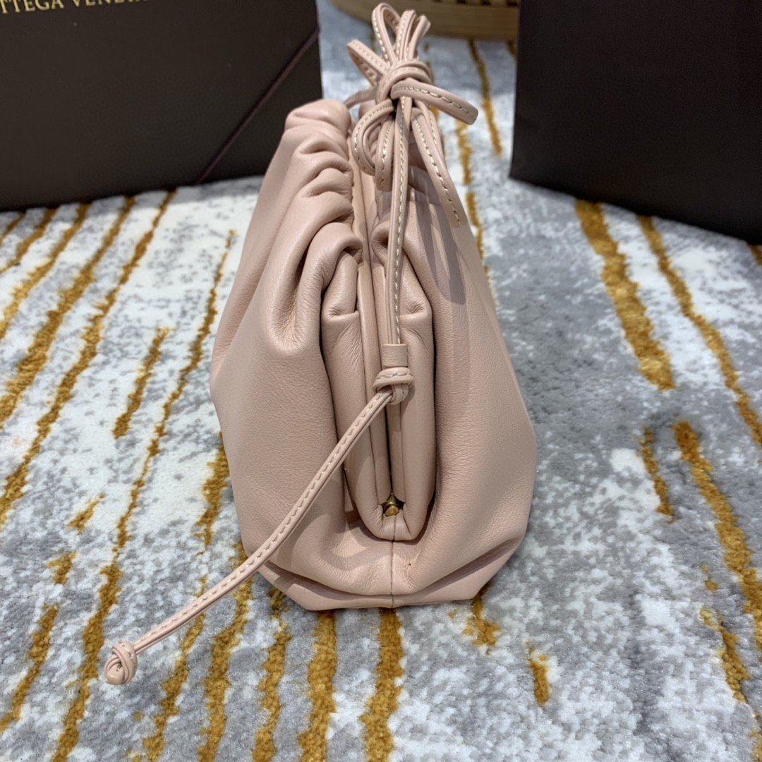 Top Quality Mini Pouch For Women 8.6in/22cm In PiNike 585852VCP402752