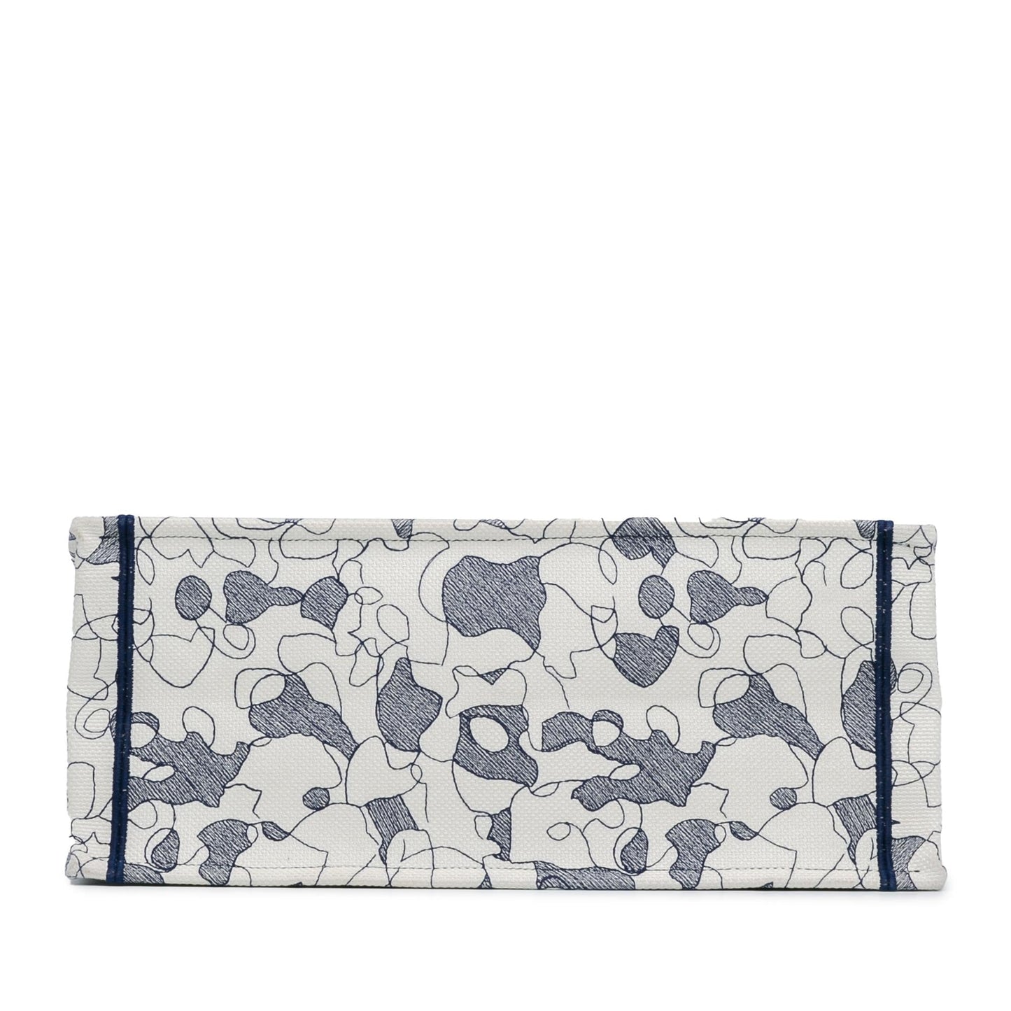 Dior Large Around The World Book Tote (SHG-dgKn9I)