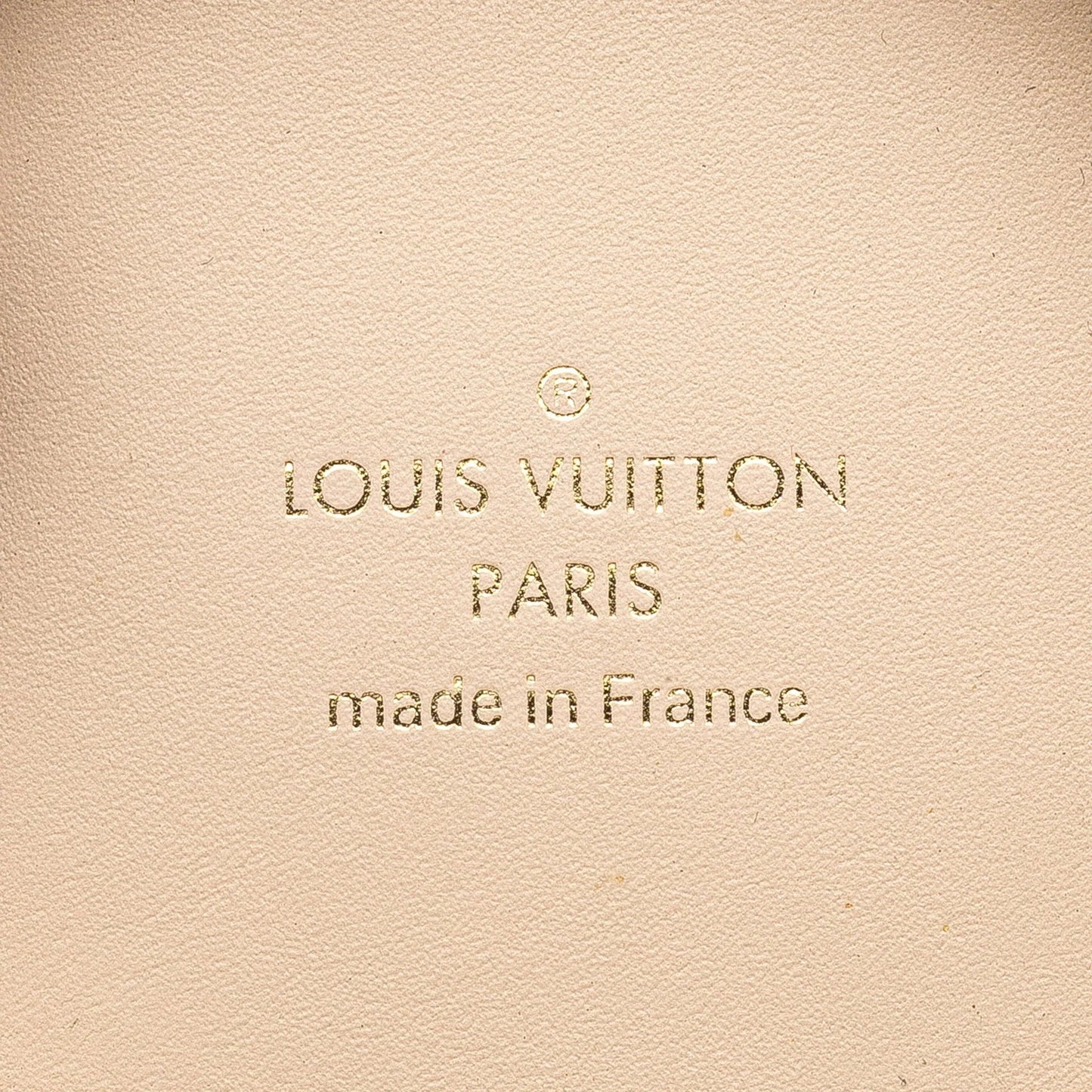 Brown Louis Vuitton Monogram Horizon Wireless Earphones Case