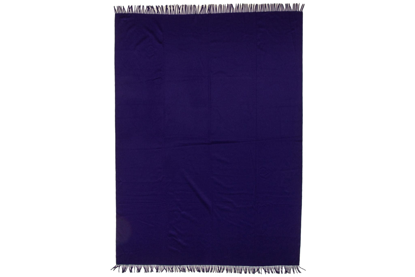 Hermes Purple Cashmere Fringe Blanket