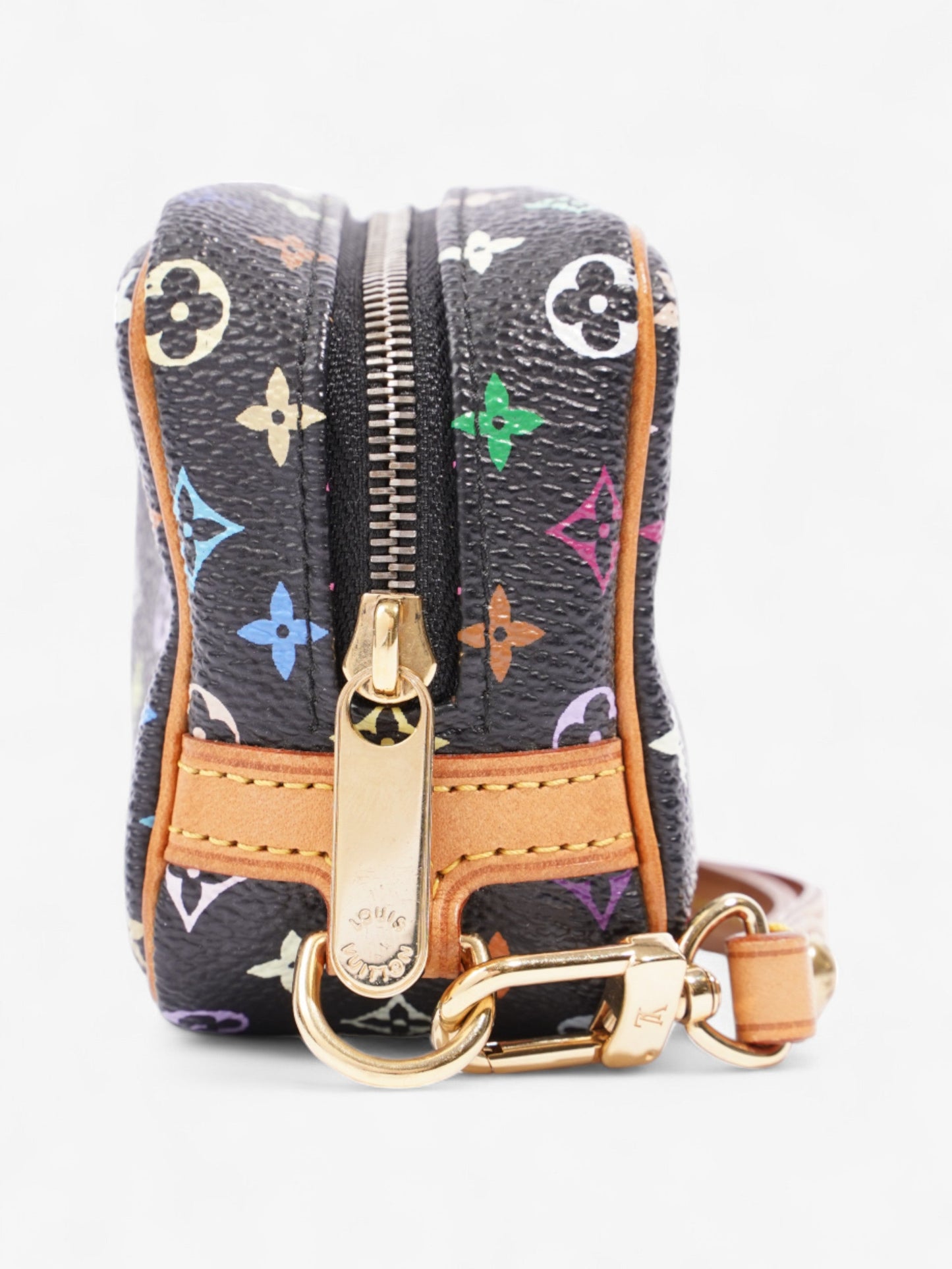 Louis Vuitton Truth Wapity Black / Multicolour Coated Canvas