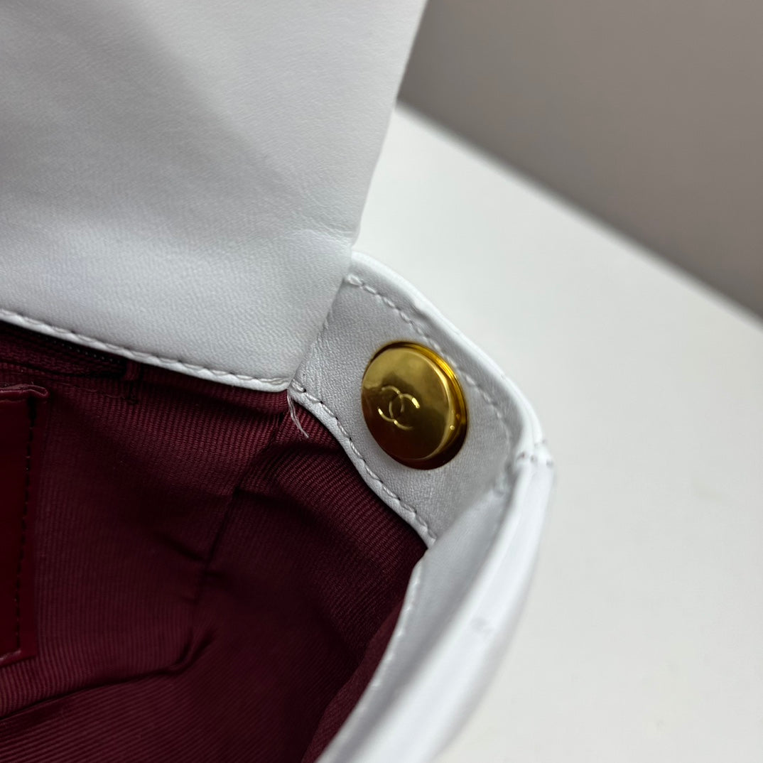 EN - New 1:1 rep Top Quality CHL Bag 564