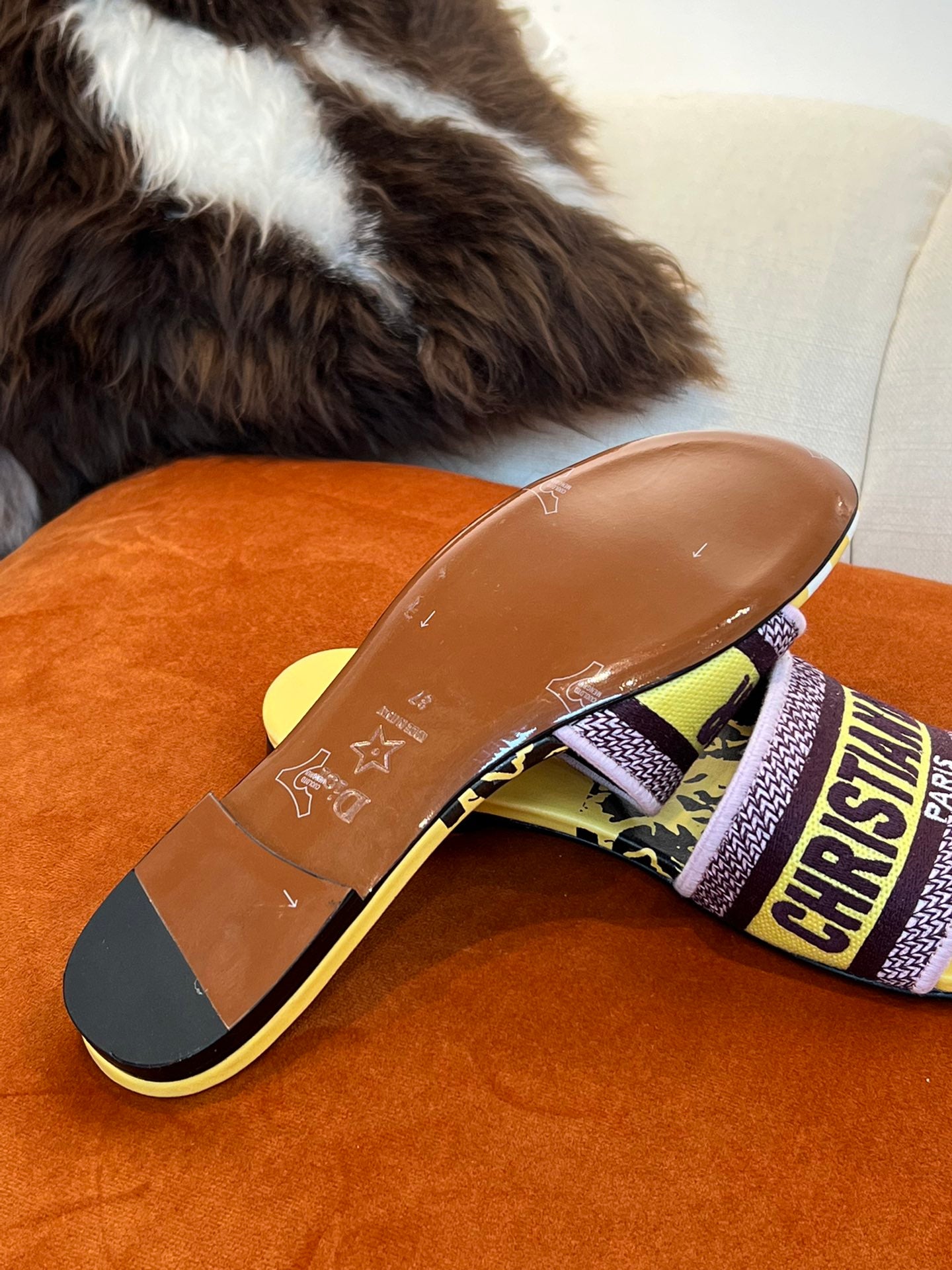 Luxury Shoes - Top QualityR - 1299