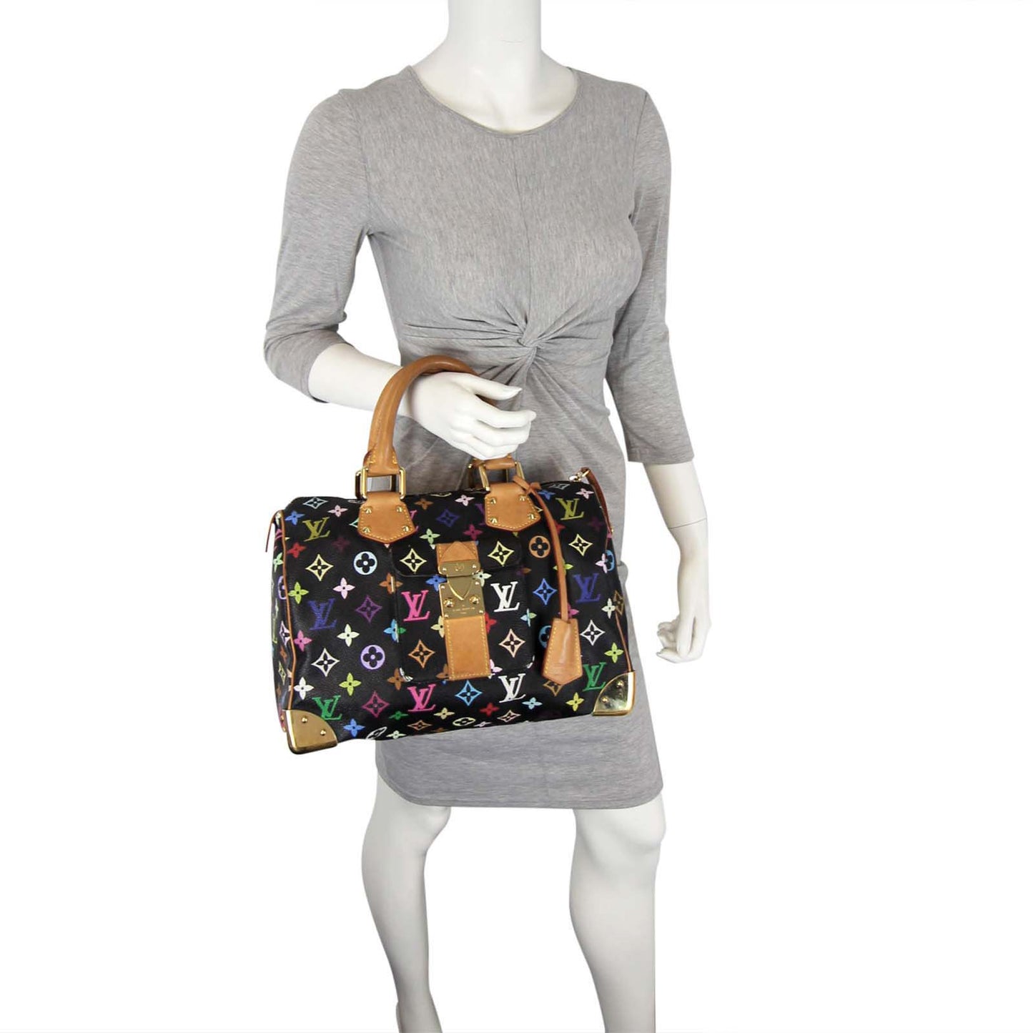 Louis Vuitton Speedy 30 Multicolore