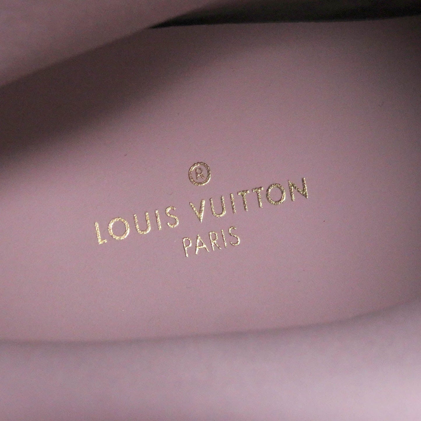 LOUIS VUITTON Ankle boots 1A7P9S Main: Leather Rose Landscape Line mens 6  d