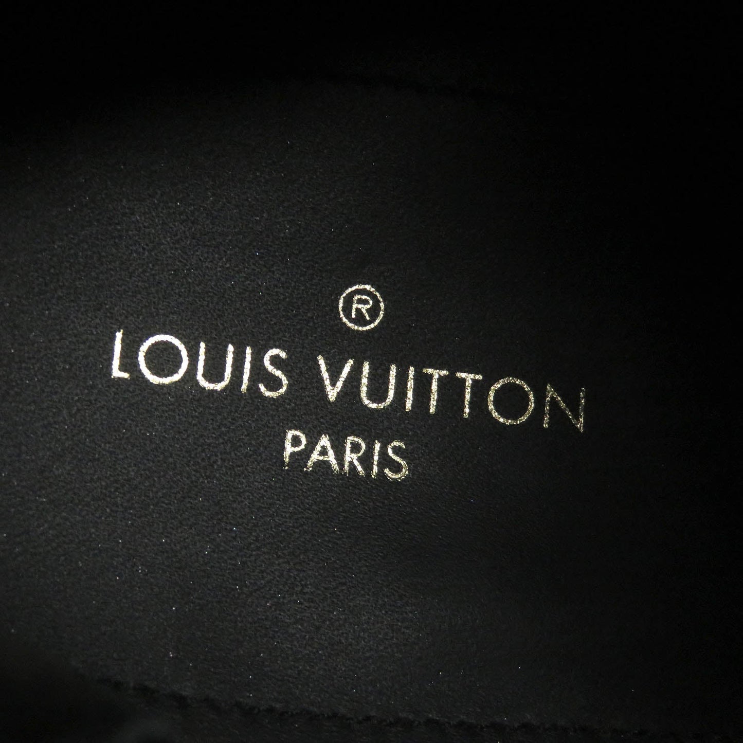 LOUIS VUITTON Ankle boots Main: Leather, Harako fur Silver mens 7.5  d