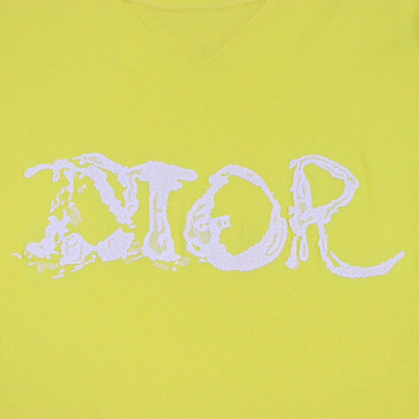 DIOR Peter Doig Logo T-shirt Yellow XL