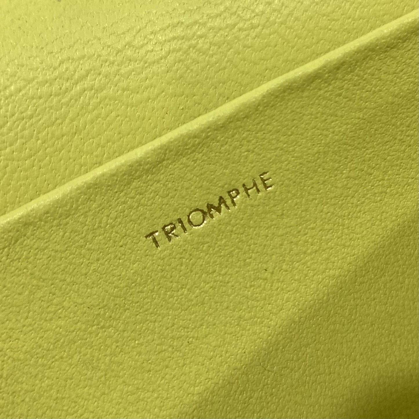 Top Quality Chain Shoulder Bag Cuir Triomphe Green For Women 7.9in/20cm