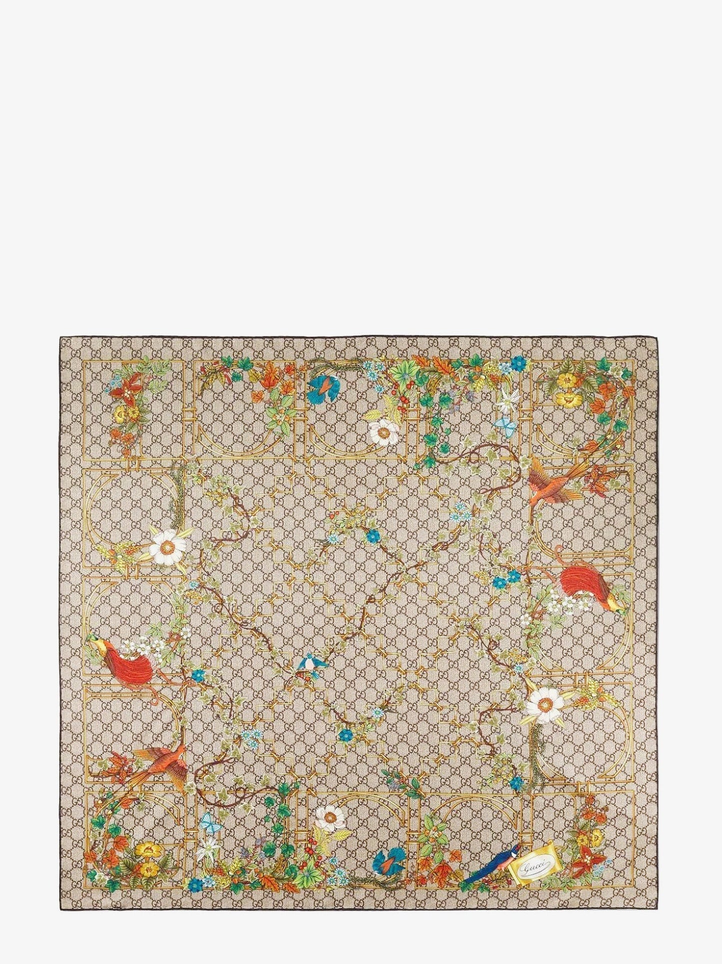 Gucci Woman Gucci Woman Brown Scarves