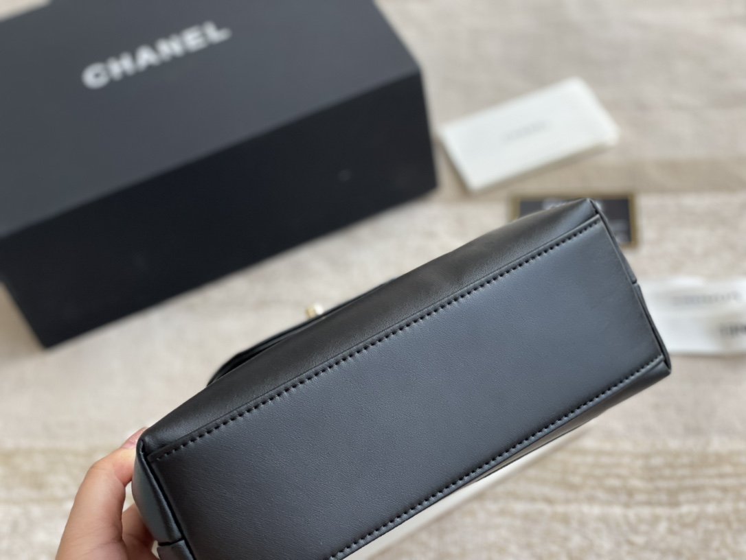 EN - New 1:1 rep  Top Quality CHL Bag 254