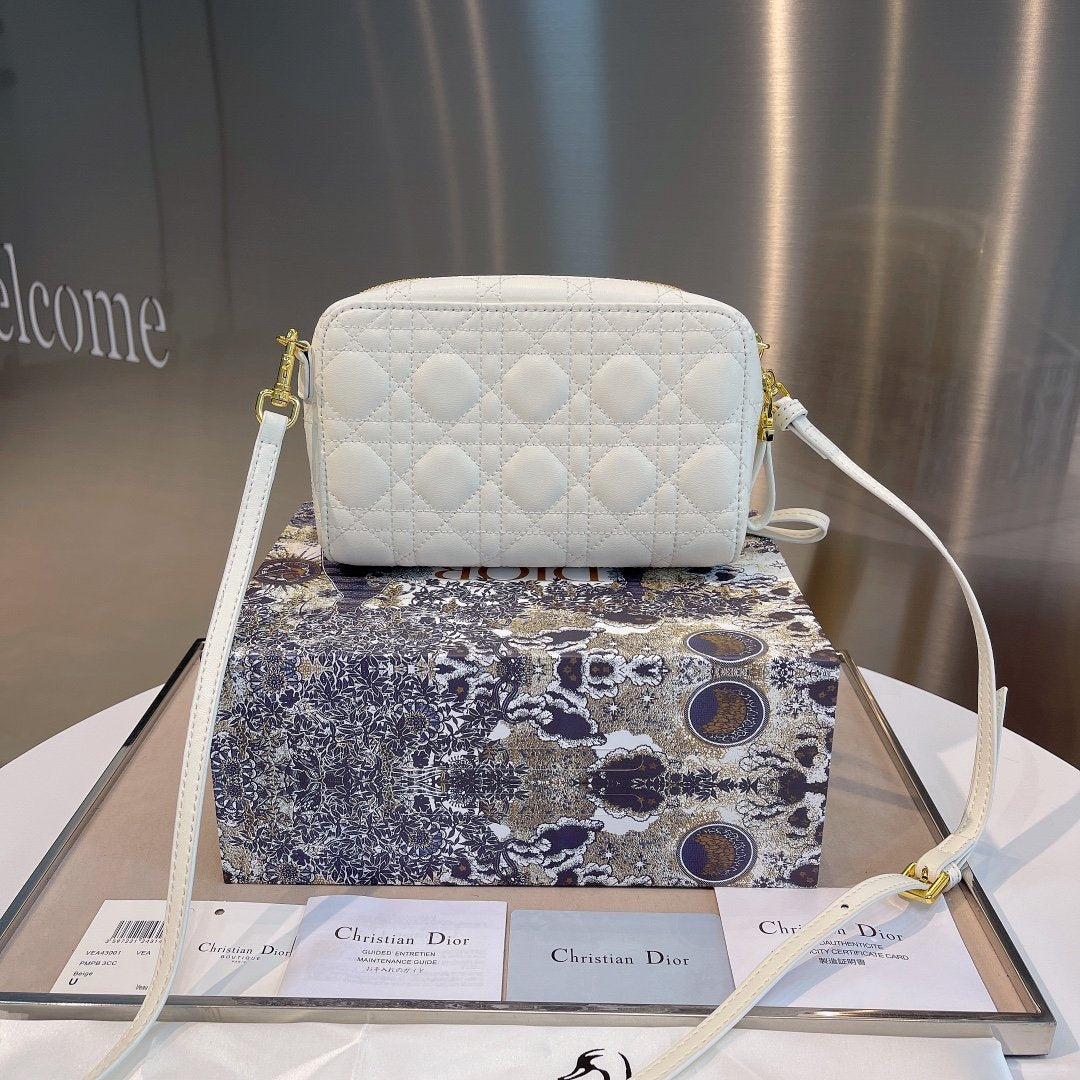 Luxury Handbags Christian Dior 304