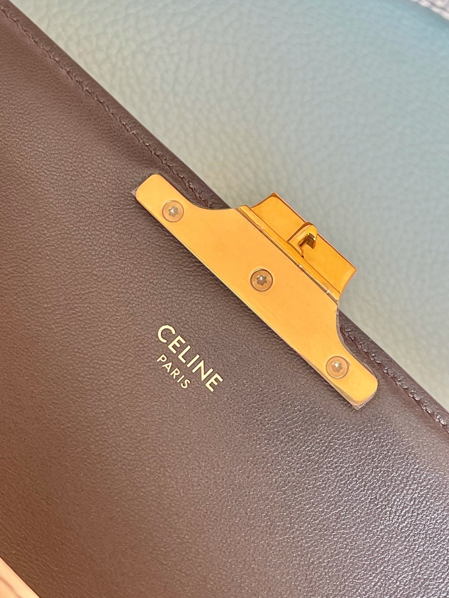 Top Quality Triomphe Shoulder Bag In Lizard Natural For Women 8in/20cm 194144BF5.02VG