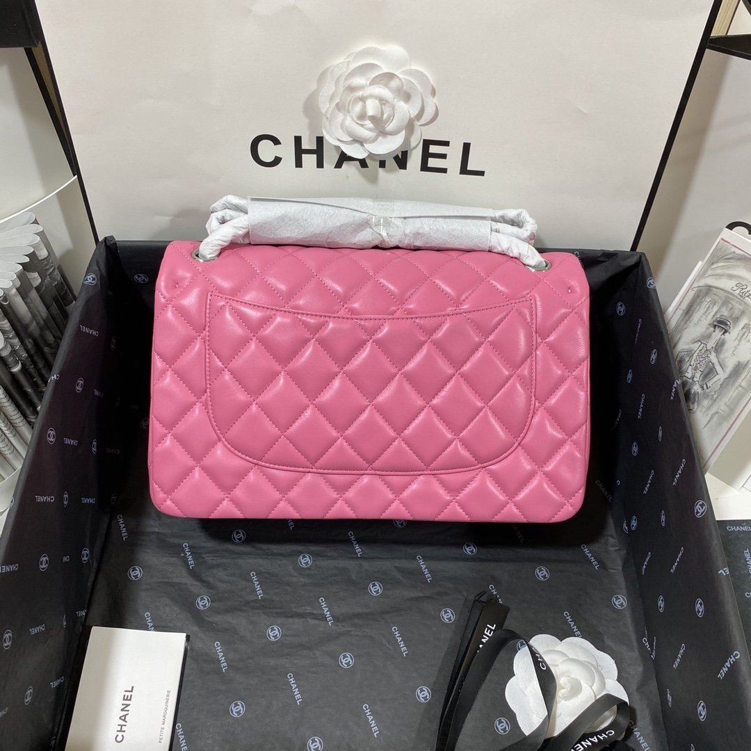 CHLLarge Classic Handbag Silver Hardware PiNike For Women Handbags, Shoulder Bags 11.8in/30cm