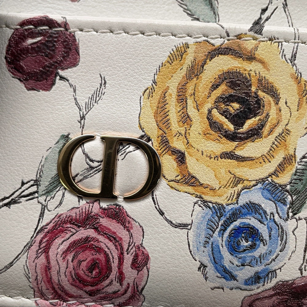 Dior Dior Caro Card Case Beige/Multicolor Calf Leather