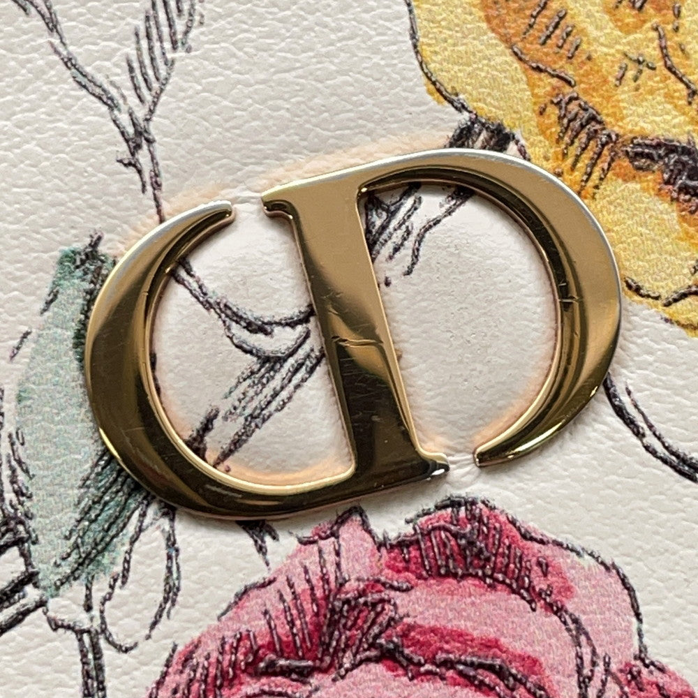 Dior Dior Caro Card Case Beige/Multicolor Calf Leather