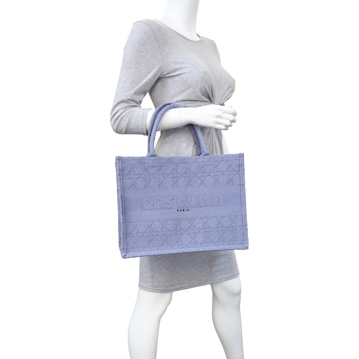 Dior Book Tote Medium