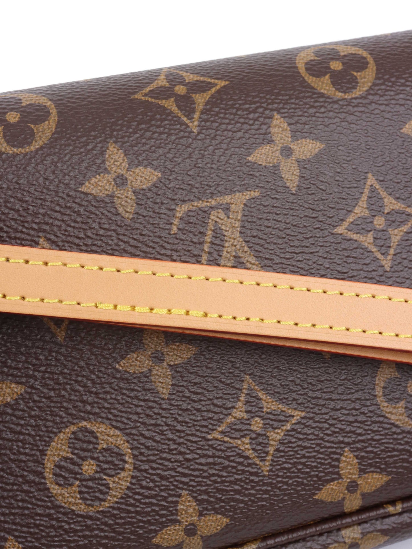 Louis Vuitton Ivy Wallet on Chain.