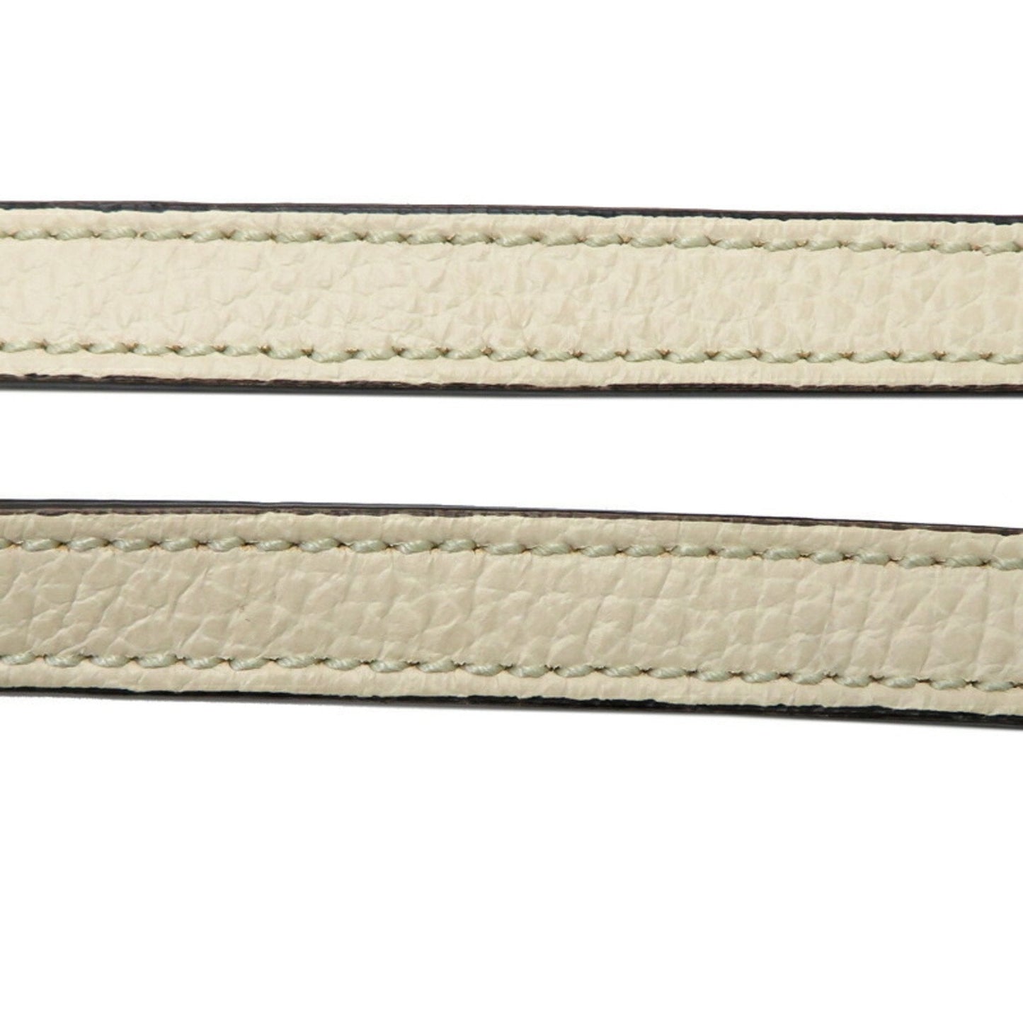 Gucci GG canvas