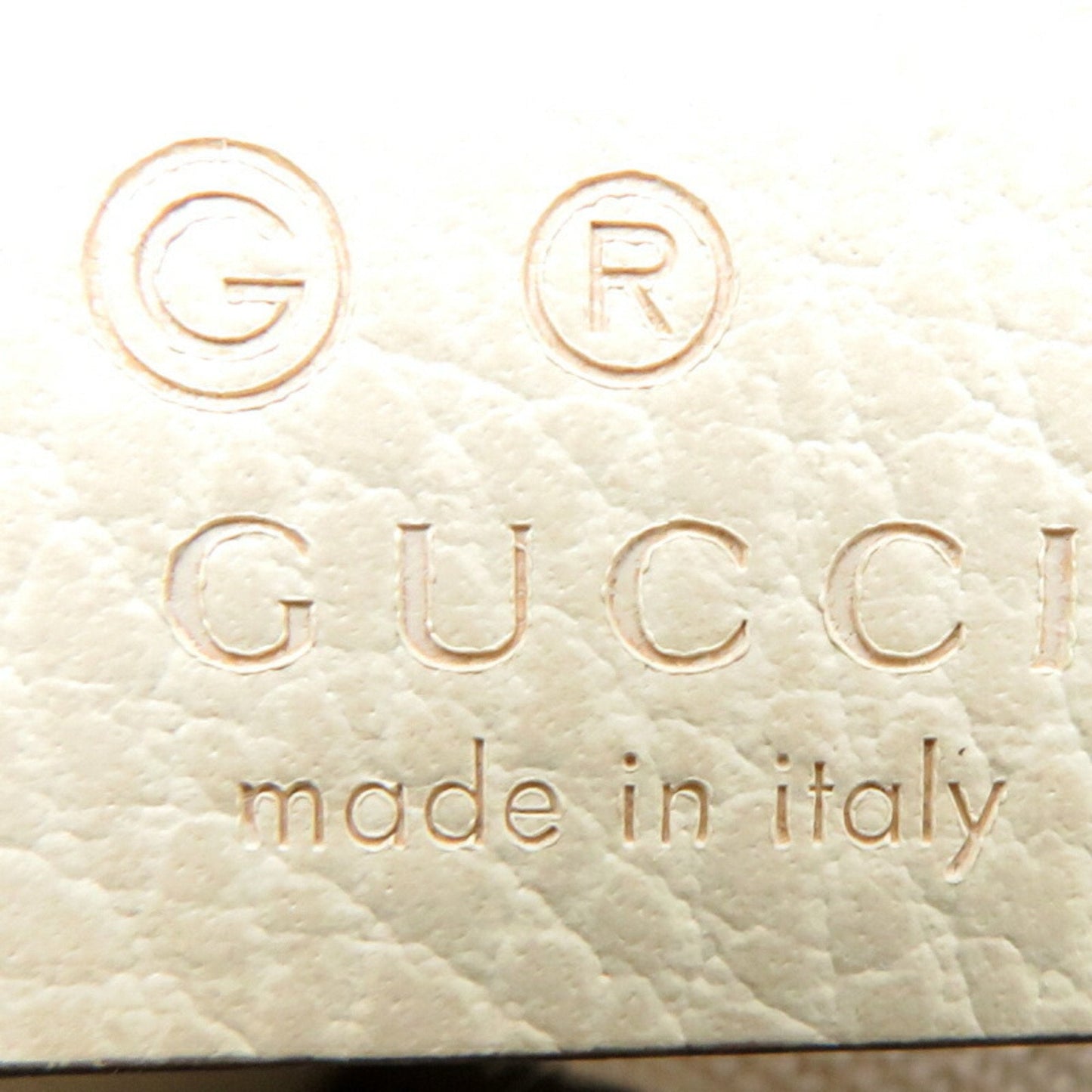 Gucci GG canvas