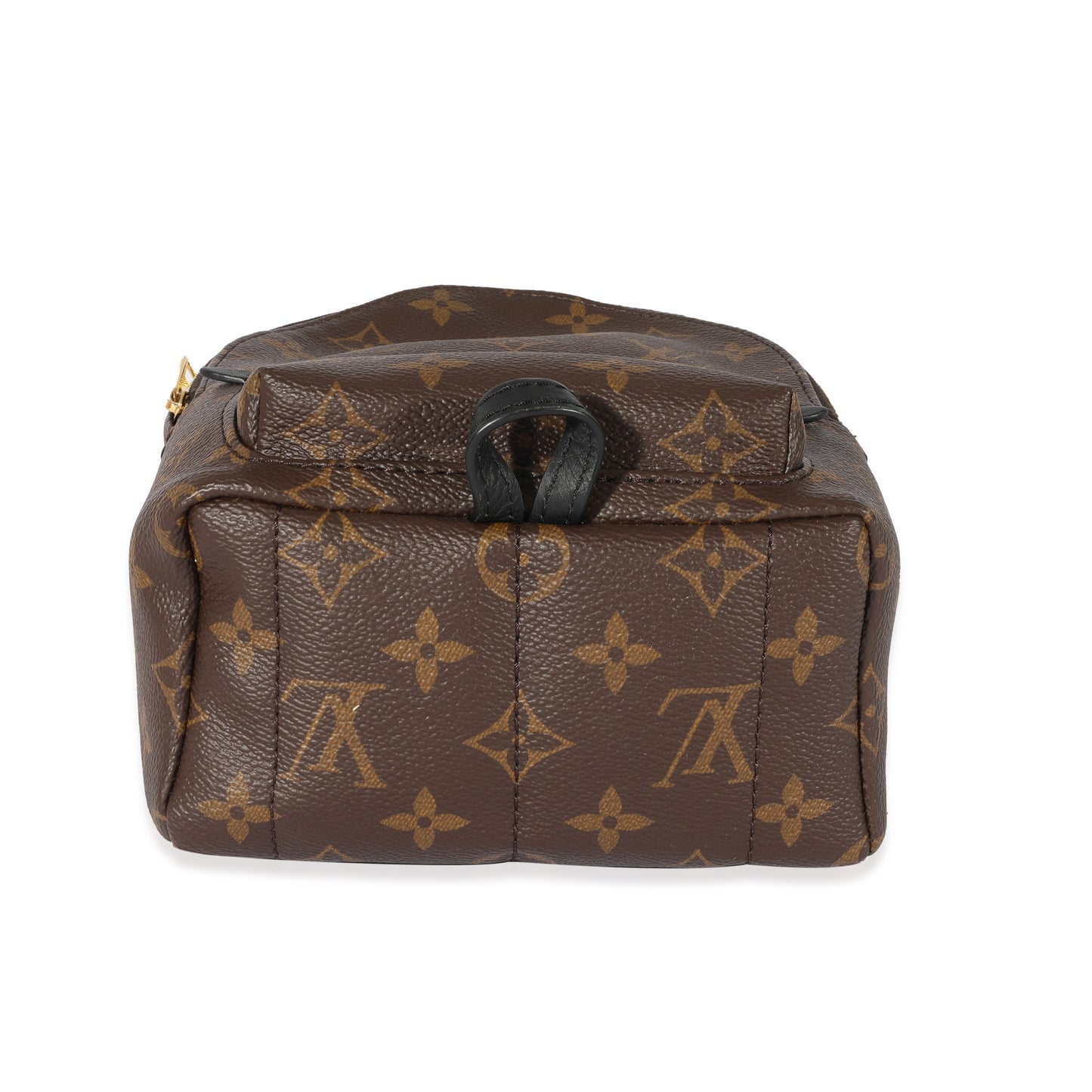 Louis Vuitton  Monogram Canvas Palm Springs Mini Backpack
