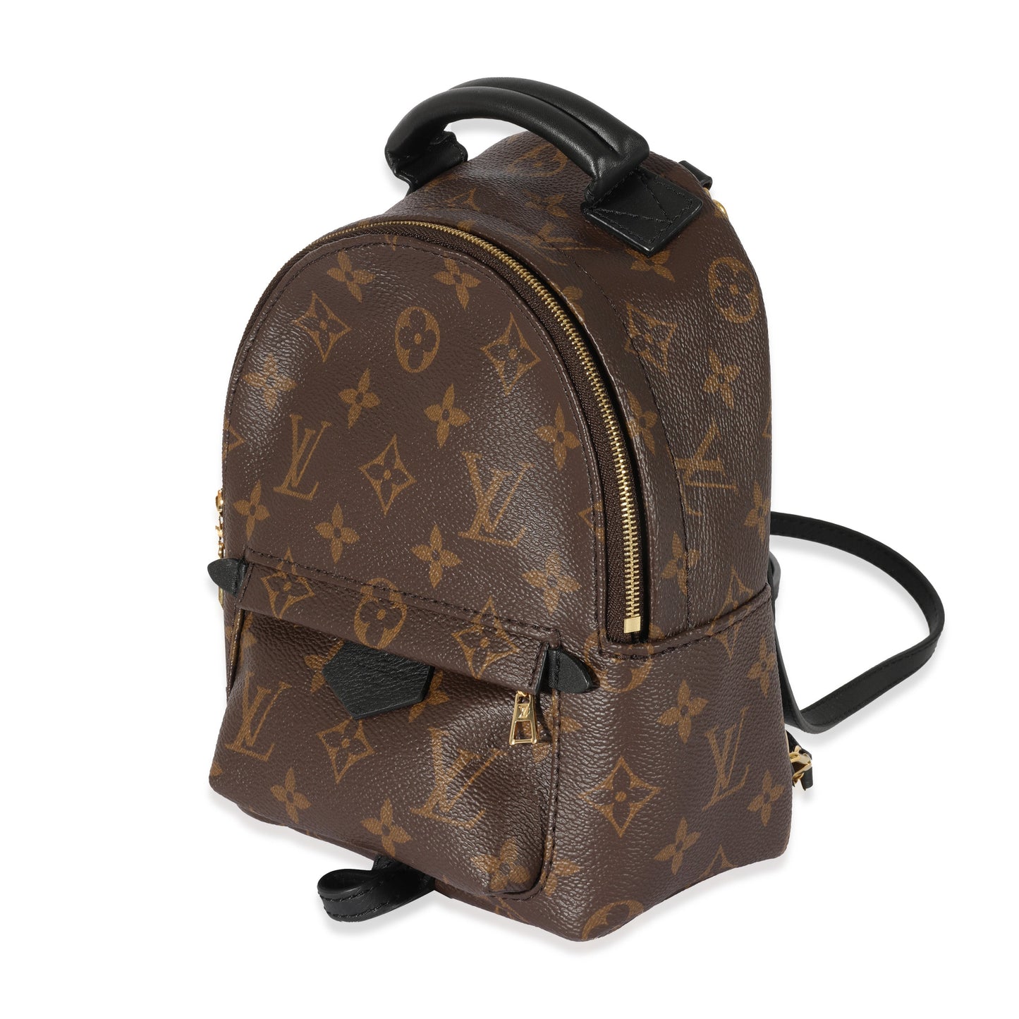Louis Vuitton  Monogram Canvas Palm Springs Mini Backpack