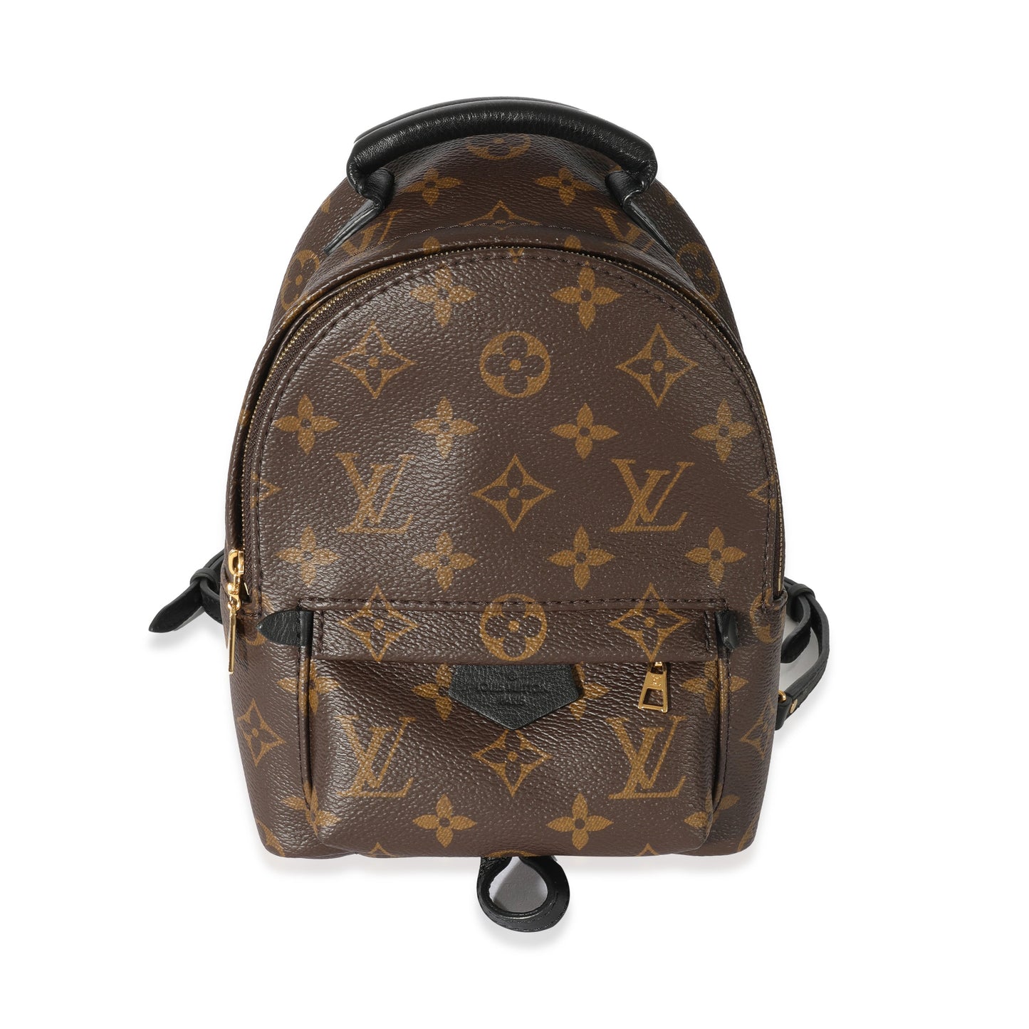 Louis Vuitton  Monogram Mini Palm Spring Backpack