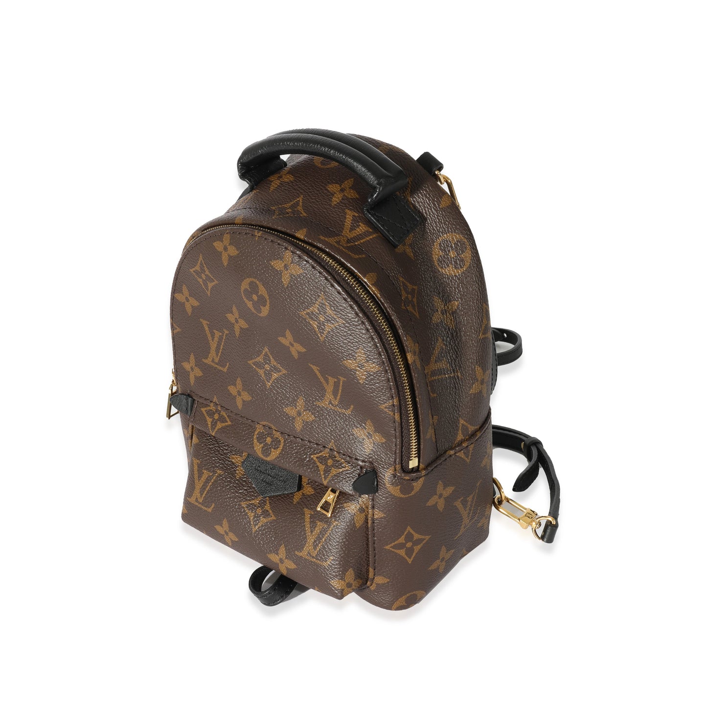 Louis Vuitton  Monogram Mini Palm Spring Backpack