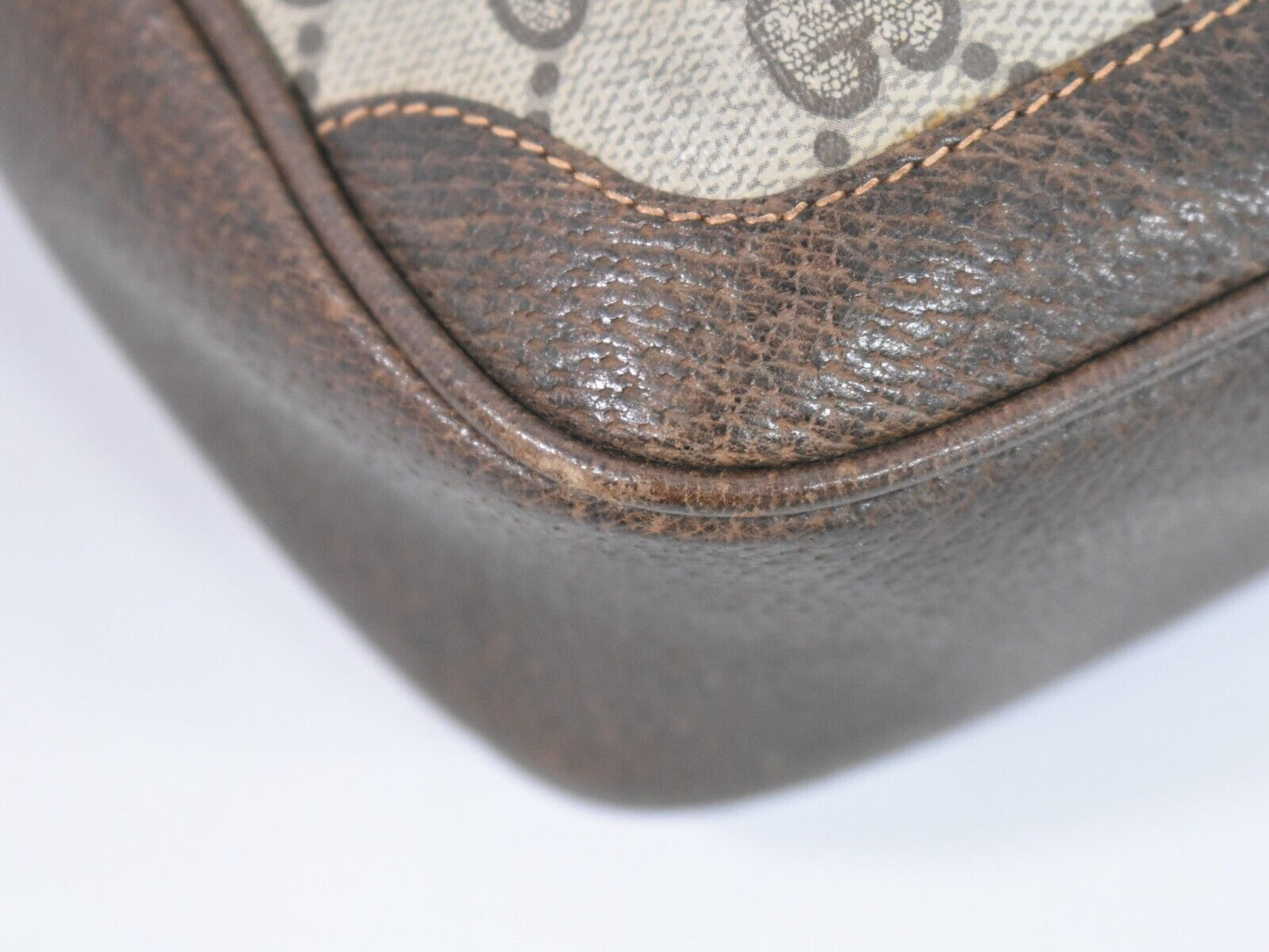 Gucci GG canvas