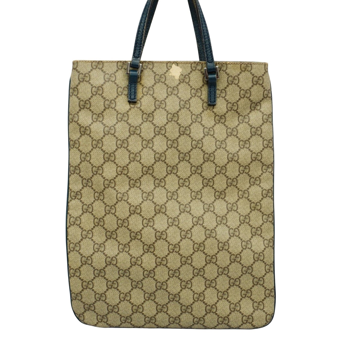 Gucci GG canvas