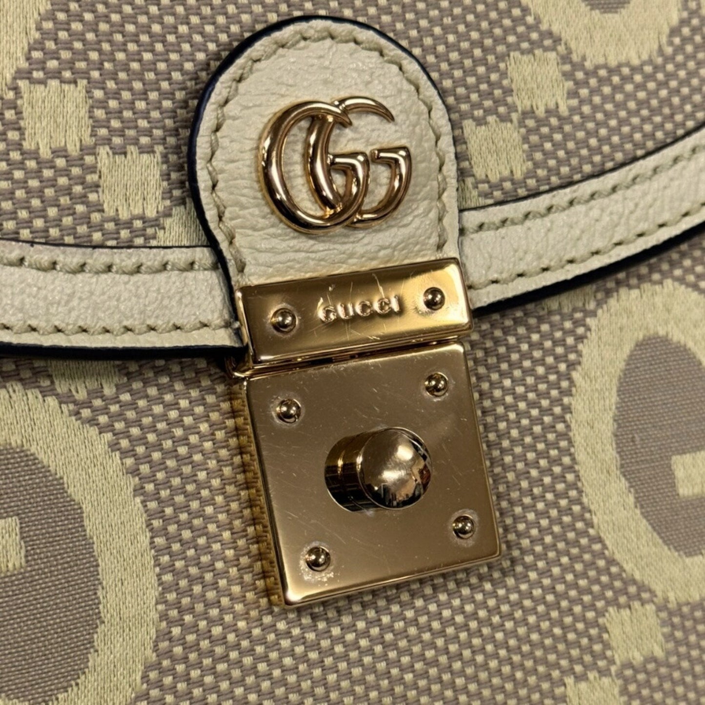 Gucci GG canvas