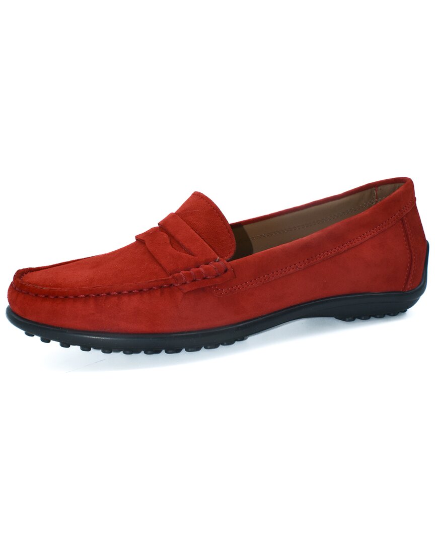 The Flexx Winter Loafer Suede Loafer