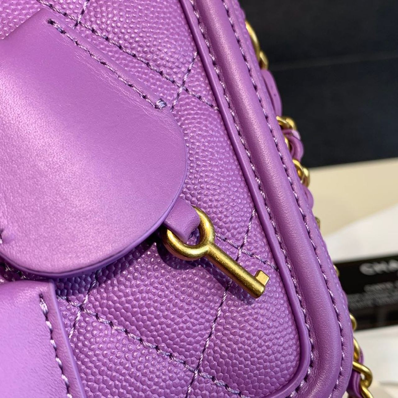 CHL Top QualityTop Qualityligree Vanity Case Bag 18cm Gold Toned Hardware Caviar Leather Spring/Summer Act 1 Collection, Purple