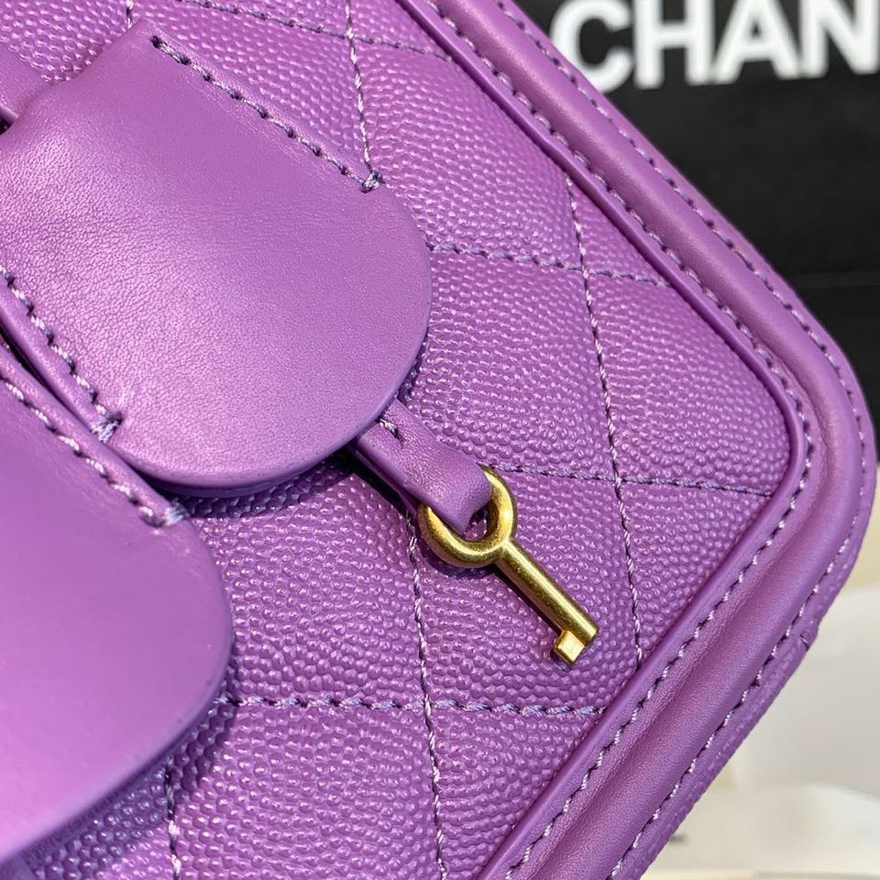 CHL Top QualityTop Qualityligree Vanity Case Bag 20cm Gold Toned Hardware Caviar Leather Spring/Summer Act 1 Collection, Purple
