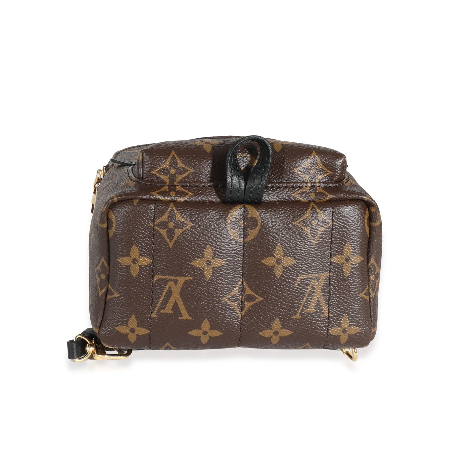 Louis Vuitton  Monogram Canvas Mini Palm Spring Backpack