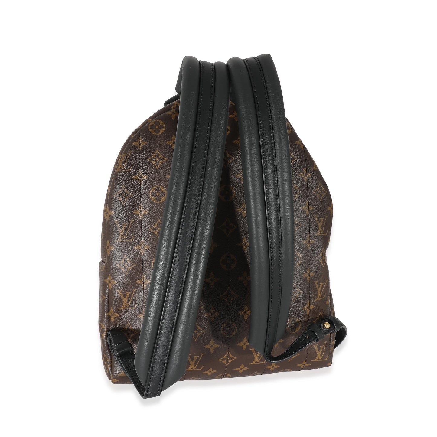Louis Vuitton  Monogram Canvas Palm Springs MM