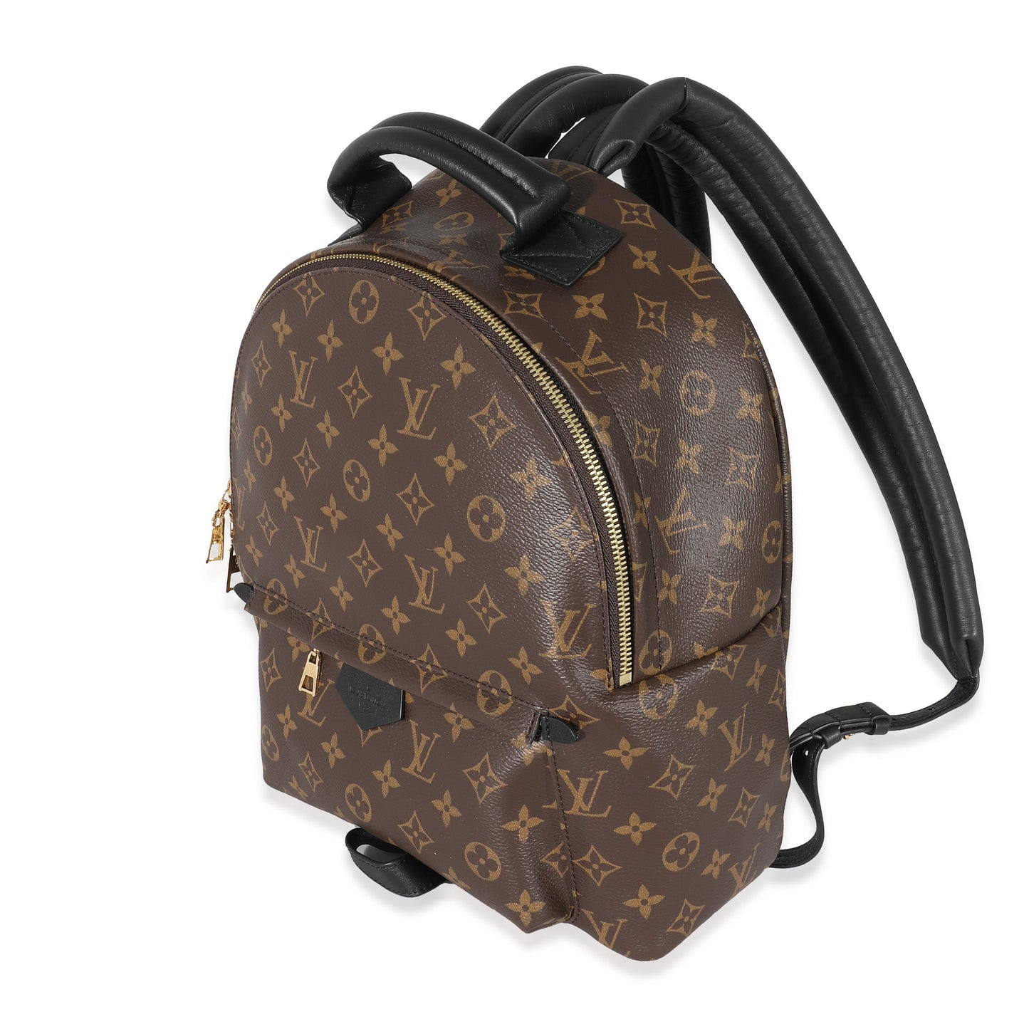 Louis Vuitton  Monogram Canvas Palm Springs MM
