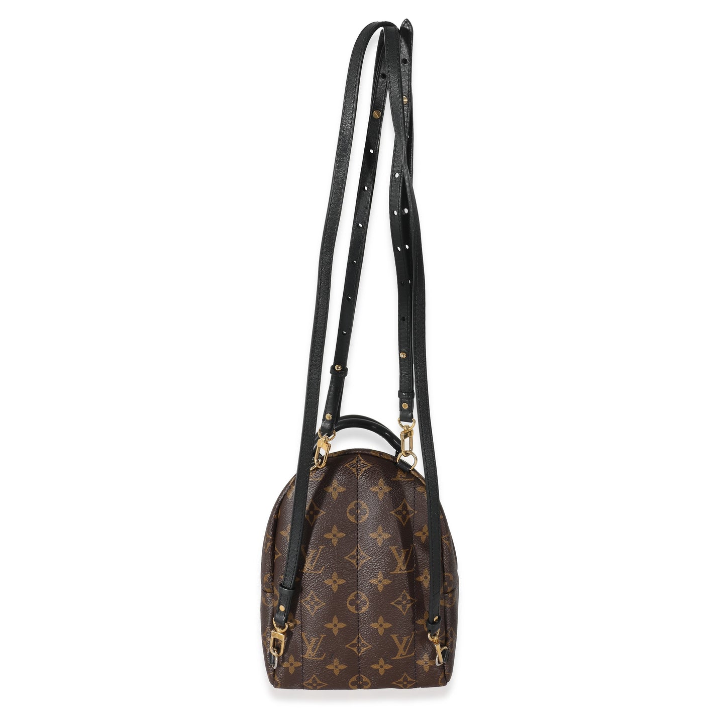 Louis Vuitton  Monogram Canvas Mini Palm Springs