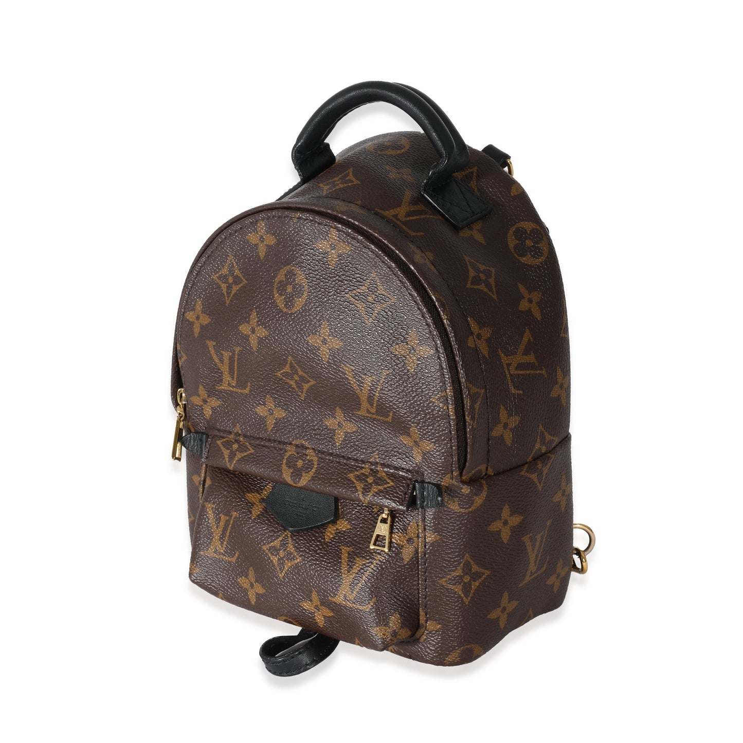 Louis Vuitton  Monogram Canvas Mini Palm Springs