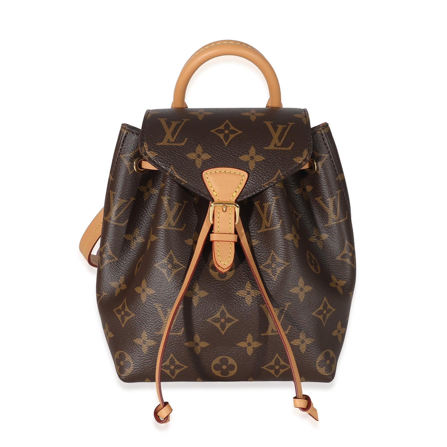 Louis Vuitton  Monogram Canvas Montsouris BB 