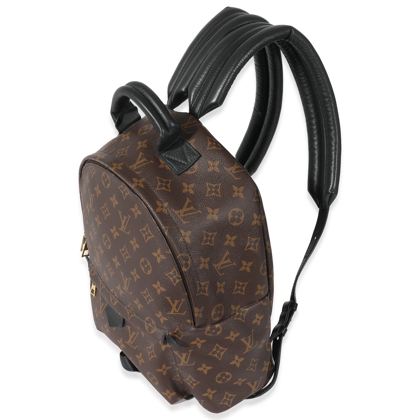 Louis Vuitton  Monogram Canvas Palm Springs MM