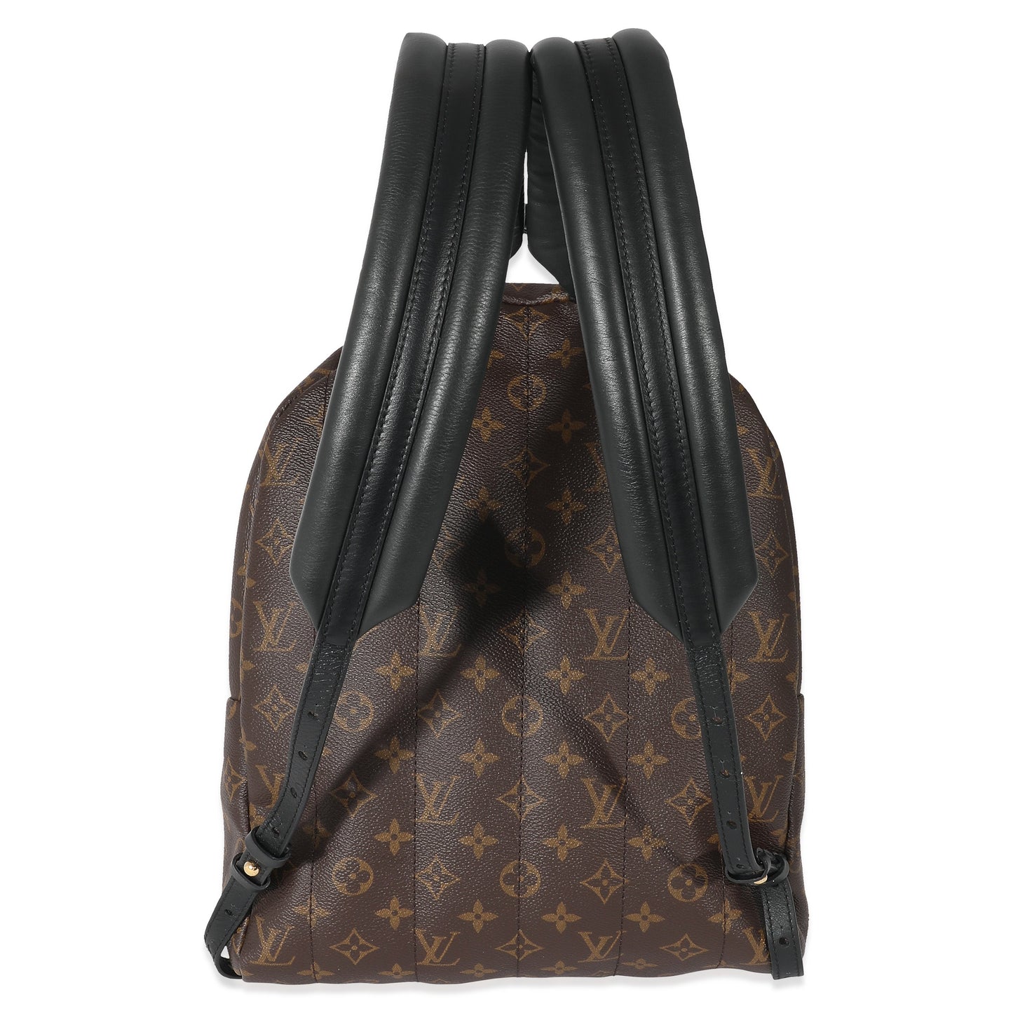 Louis Vuitton  Monogram Canvas Palm Springs MM